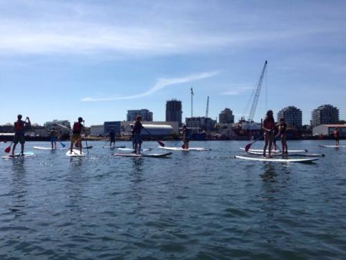 Paddle-boarding in Victoria. Photo: Dung Nguyen